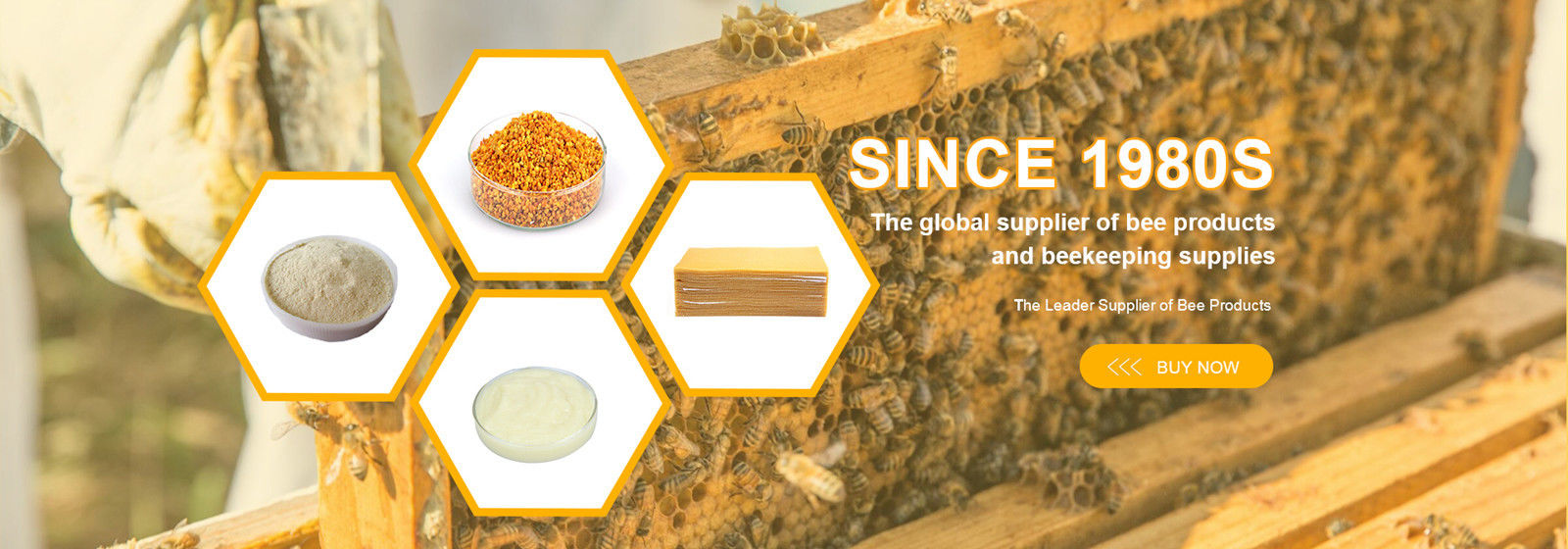China el mejor Extracto de propóleo de abeja en ventas